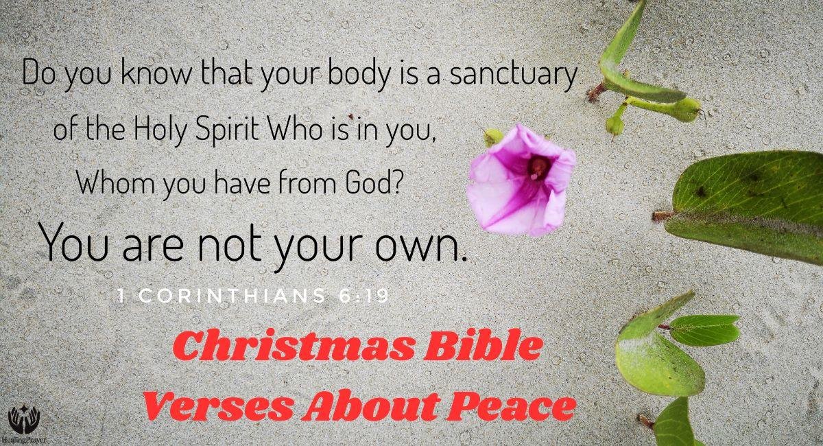 Christmas Bible Verses About Peace