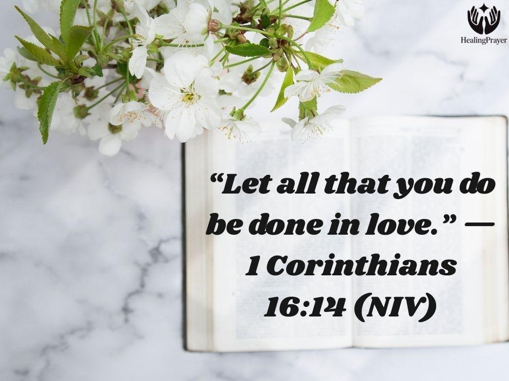 Opening Prayer for Love and Compassion