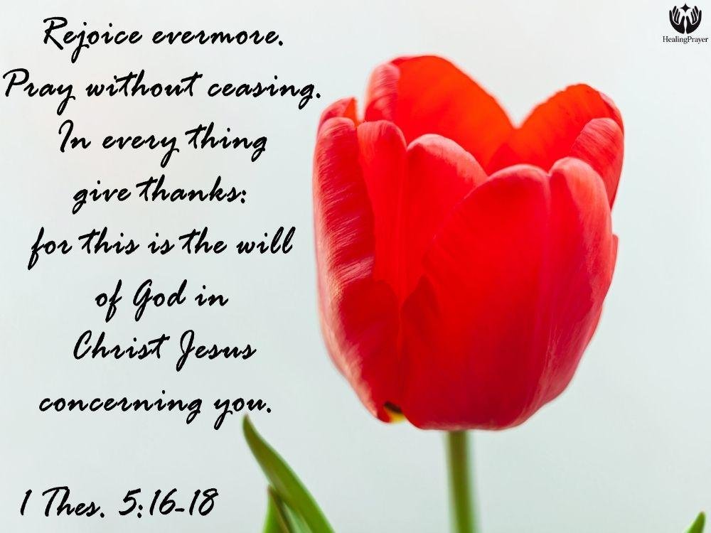 Rejoice in the True Meaning of Christmas Through God’s Word