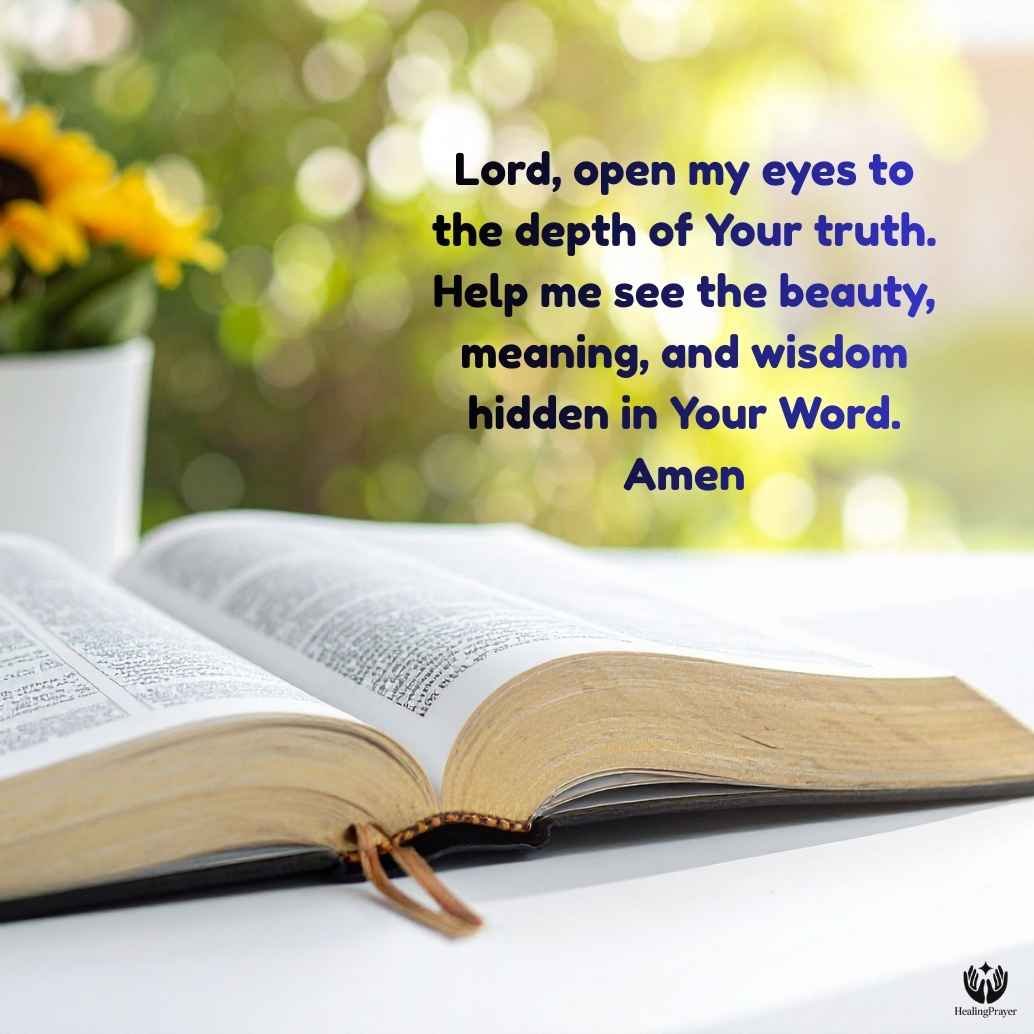 Best Study Bible with Commentary