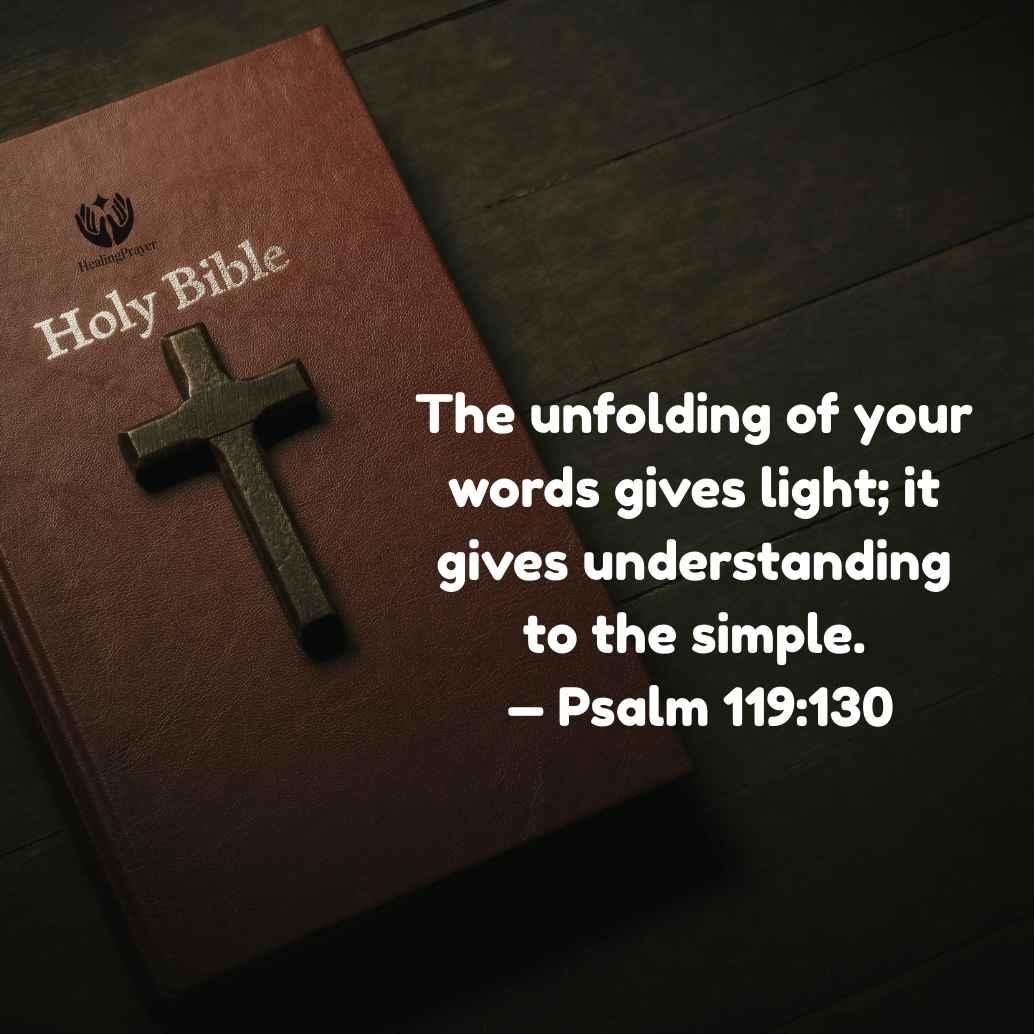 Bible Verses to Read Before Studying