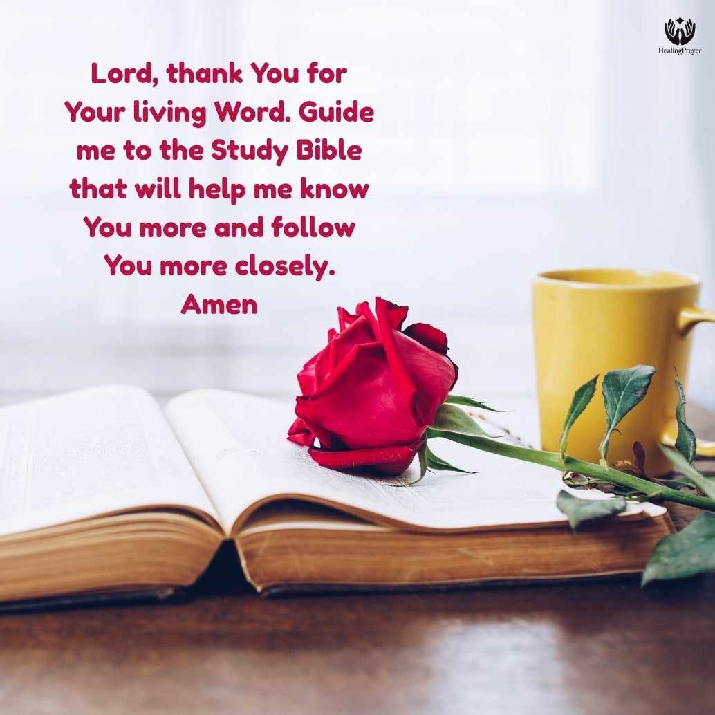 Final Recommendation: Which Study Bible Is Right for You?
