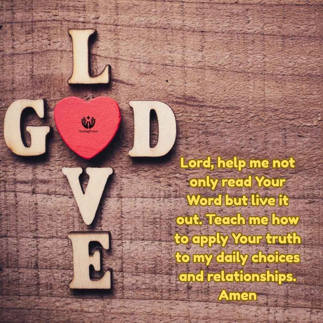 NLT or NIV Life Application Study Bible – Which One Is Better?