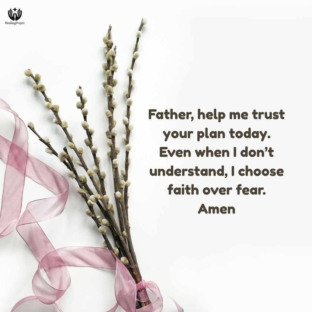 Prayer to Trust God’s Plan for Today