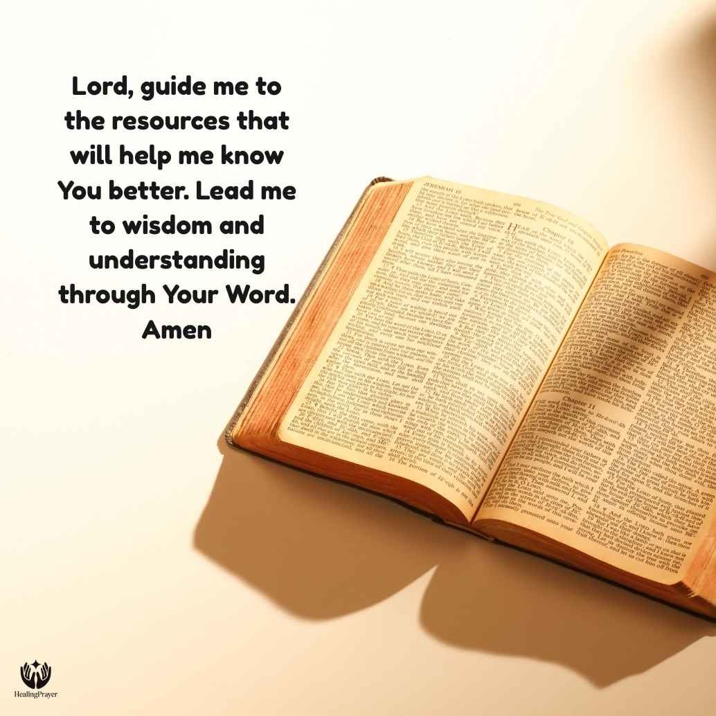 Top 5 Best Study Bibles