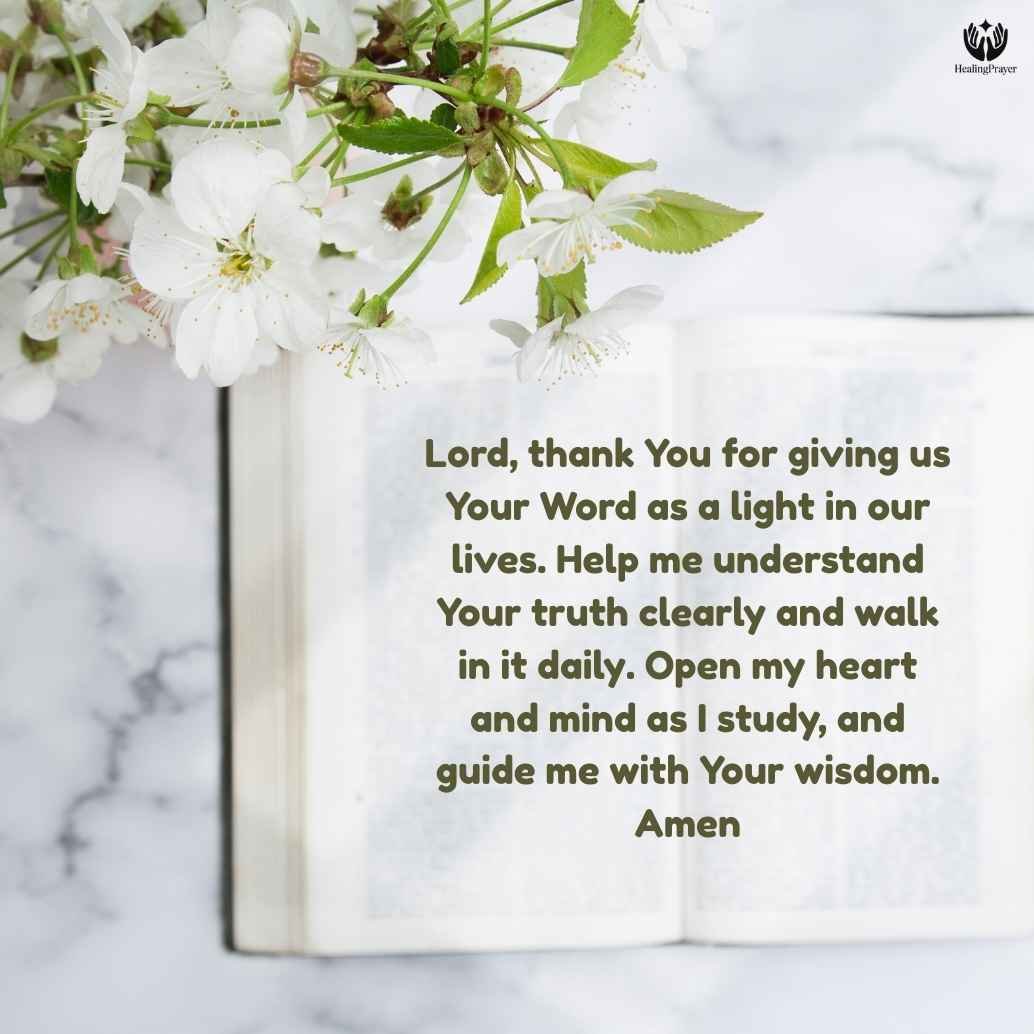 What Is the Best Study Bible? (Simple Explanation for Beginners)
