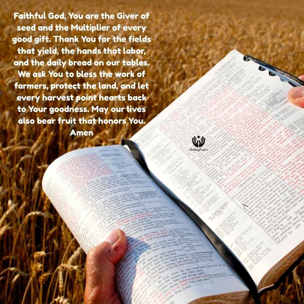 What Is the Blessing of the Harvest in the Bible?