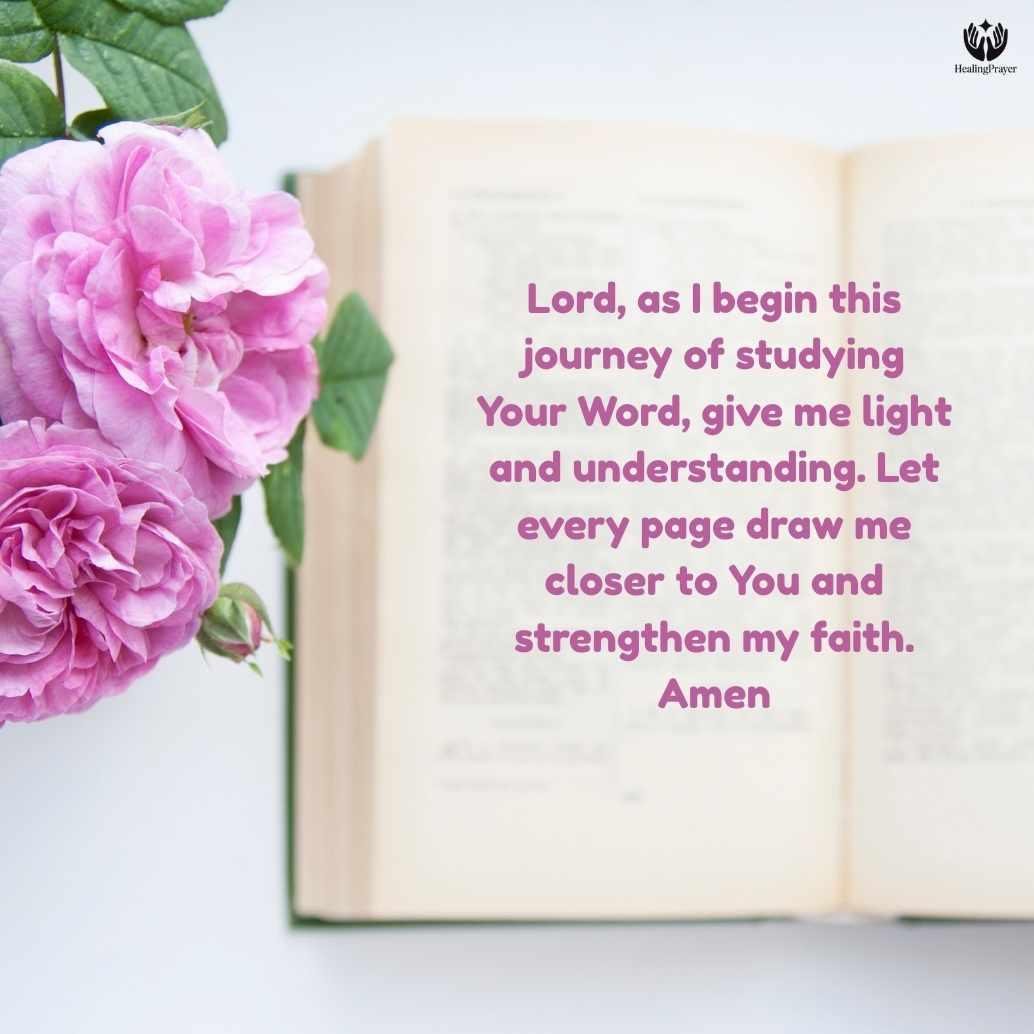 Which Study Bible Is Best for Beginners?