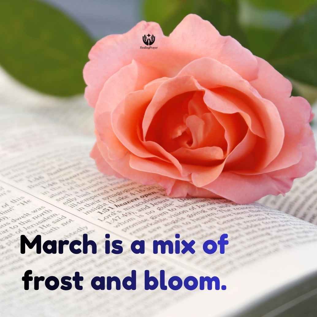 Quotes About March Weather & Changing Seasons