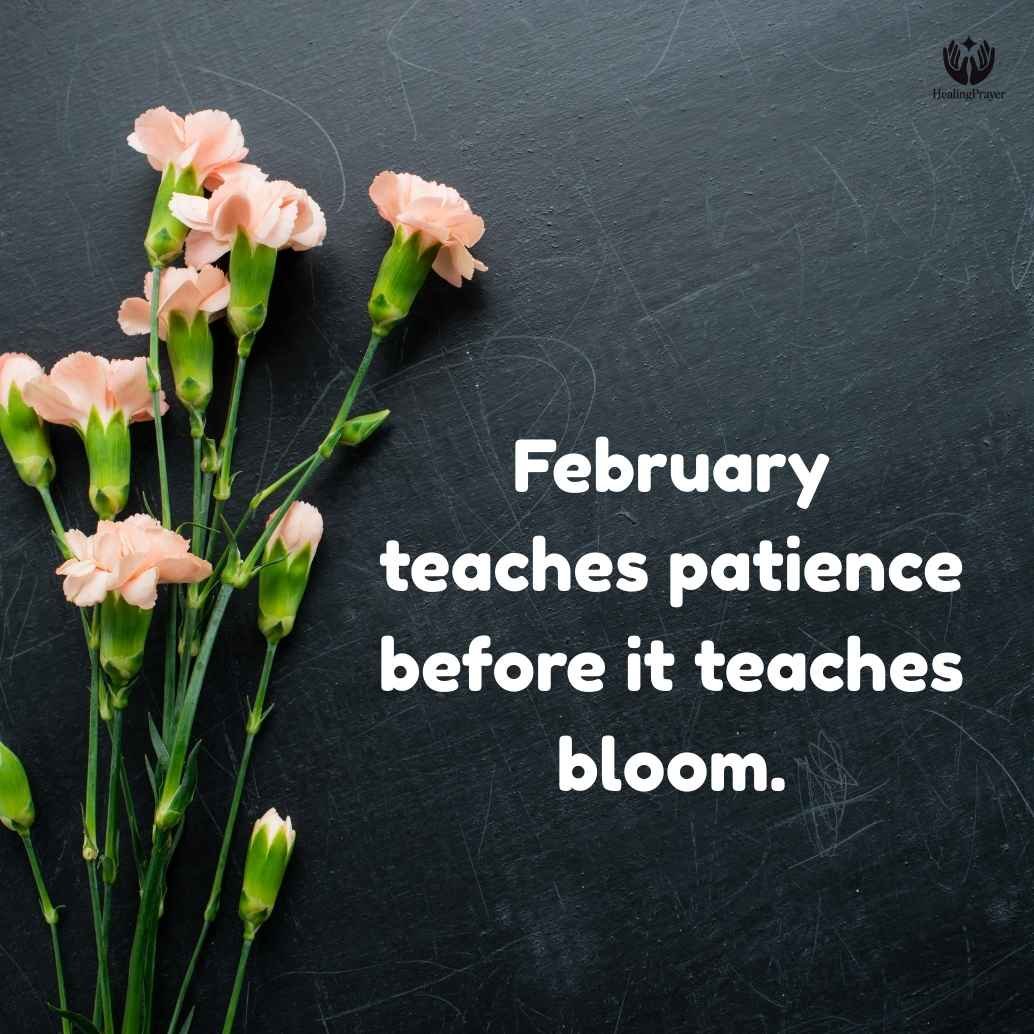 Short February Quotes