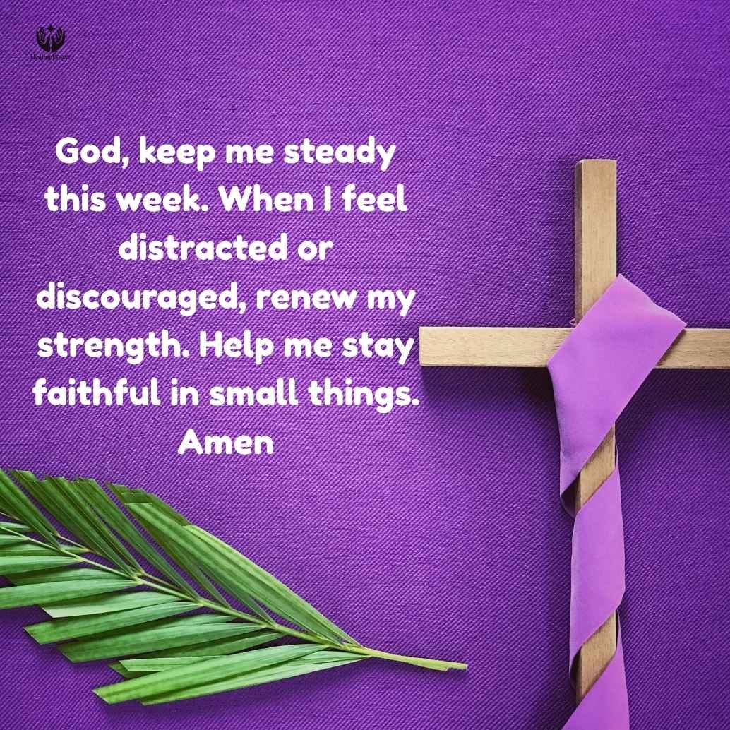 The Third Sunday in the Season of Lent (Week Overview)