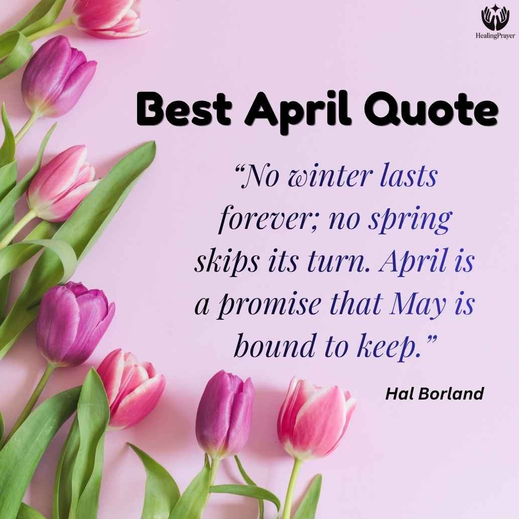 Best Quotes to Welcome Spring and Prepare for May
