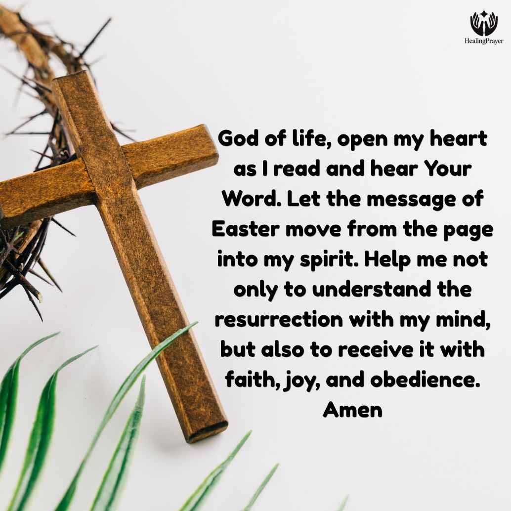 Easter Sunday Readings 2026: Full Scripture for the Mass of Easter Day