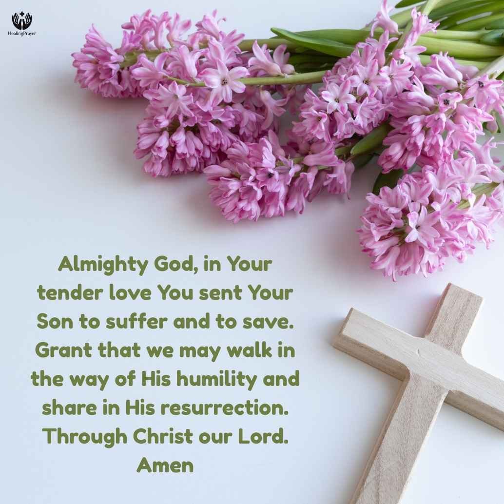 Palm Sunday Prayer Catholic Tradition