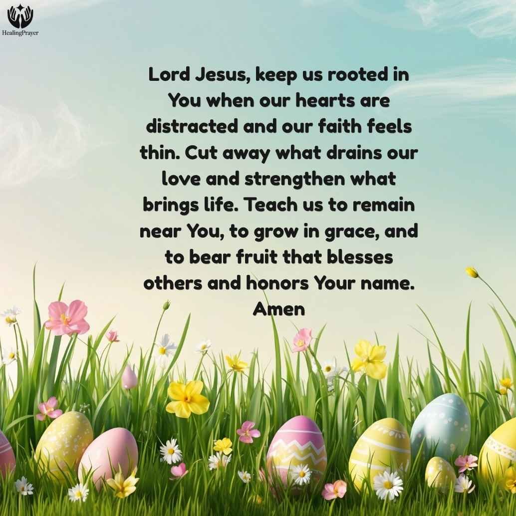 5th Sunday of Easter Readings for Year B