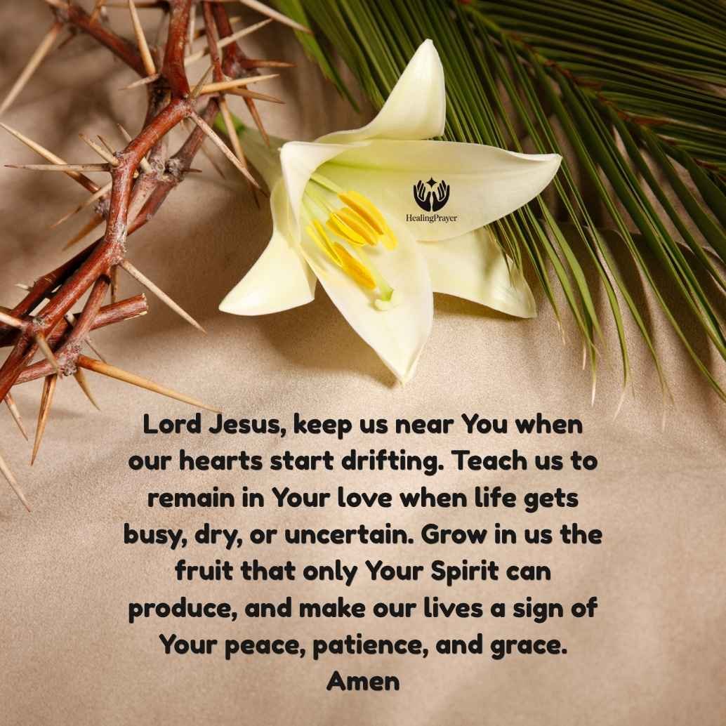 Abide in Me: Prayer Themes for the Fifth Sunday of Easter