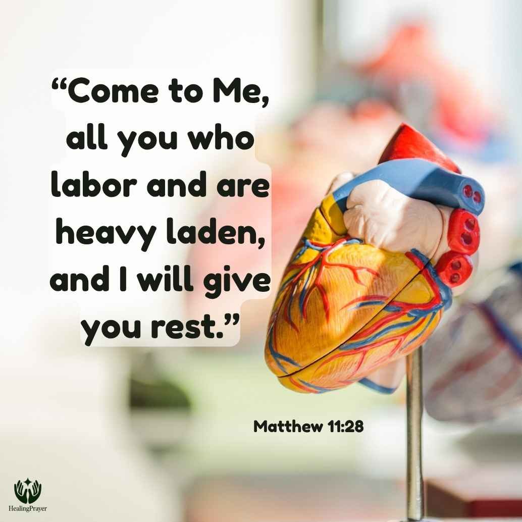 Bible Verses for Physical, Emotional, and Spiritual Heart Healing