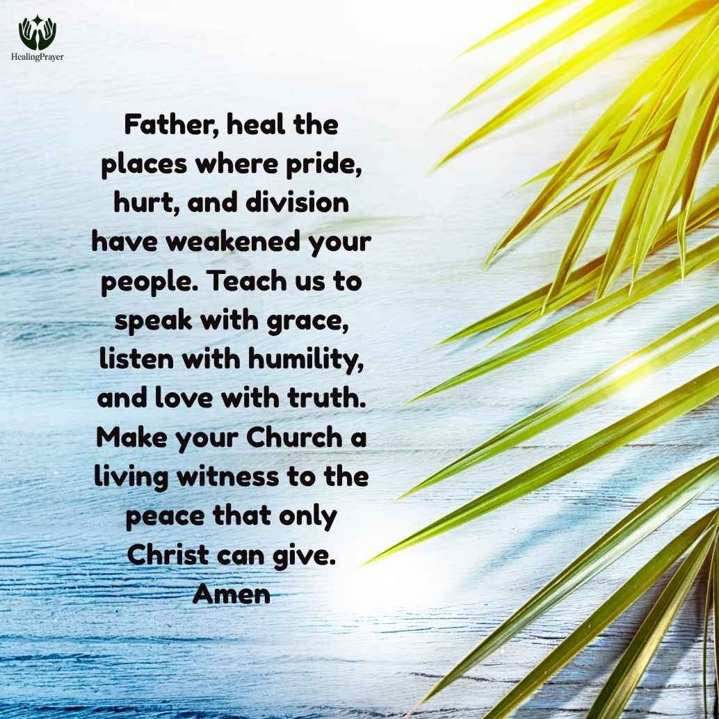 Christ’s Prayer for Unity on the Seventh Sunday of Easter