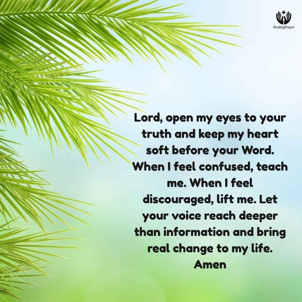Sermon and Reflection Prayer Points for the Third Sunday of Easter