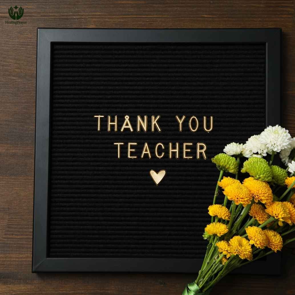 Best Teacher Appreciation Quotes to Say Thank You

