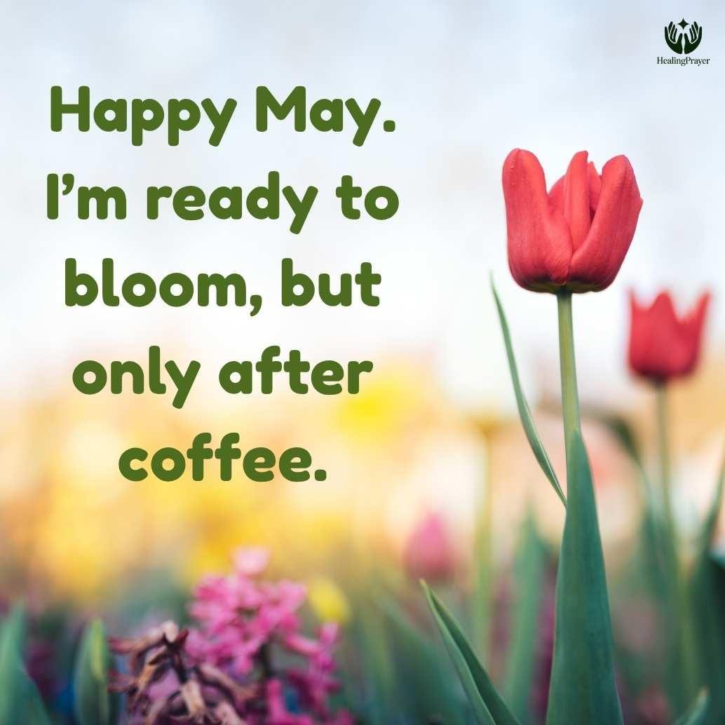Funny May Quotes to Make You Smile