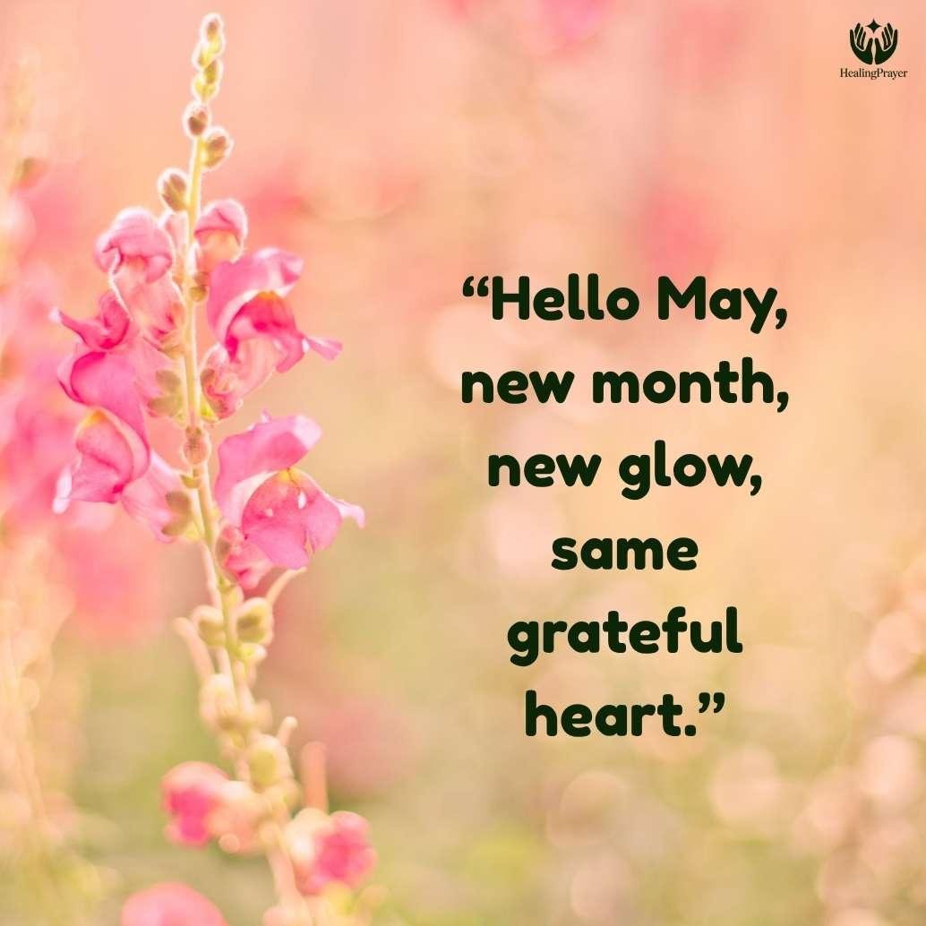 Hello May Quotes for Instagram Captions and Reels