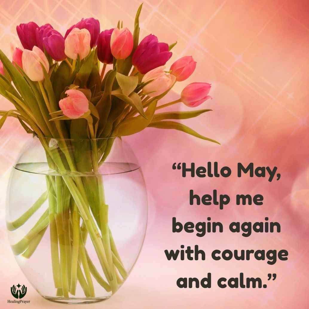 Hello May Quotes Inspirational for a Fresh Start