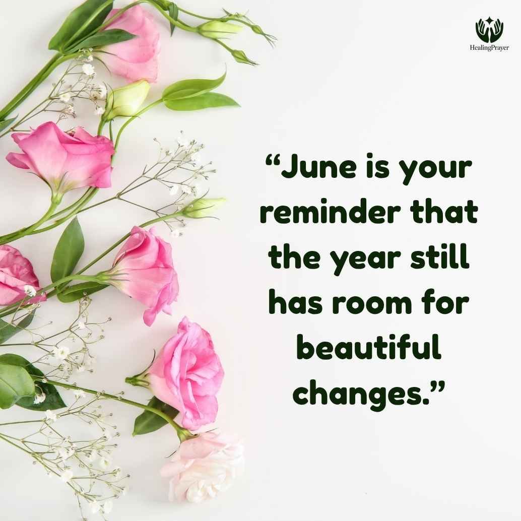 Inspirational June Quotes for a Fresh Start
