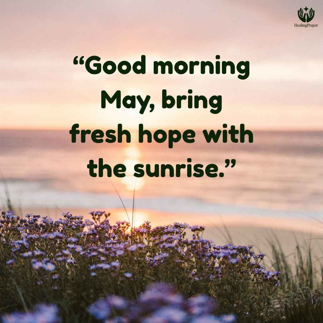 May Morning and Evening Quotes to Start and End the Day Beautifully