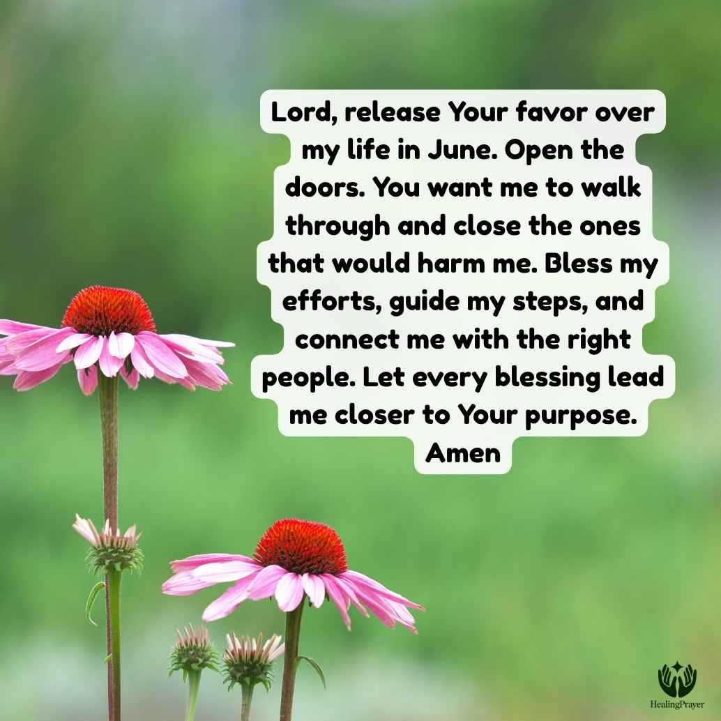 Prayer for Favor, Open Doors, and Blessings in June