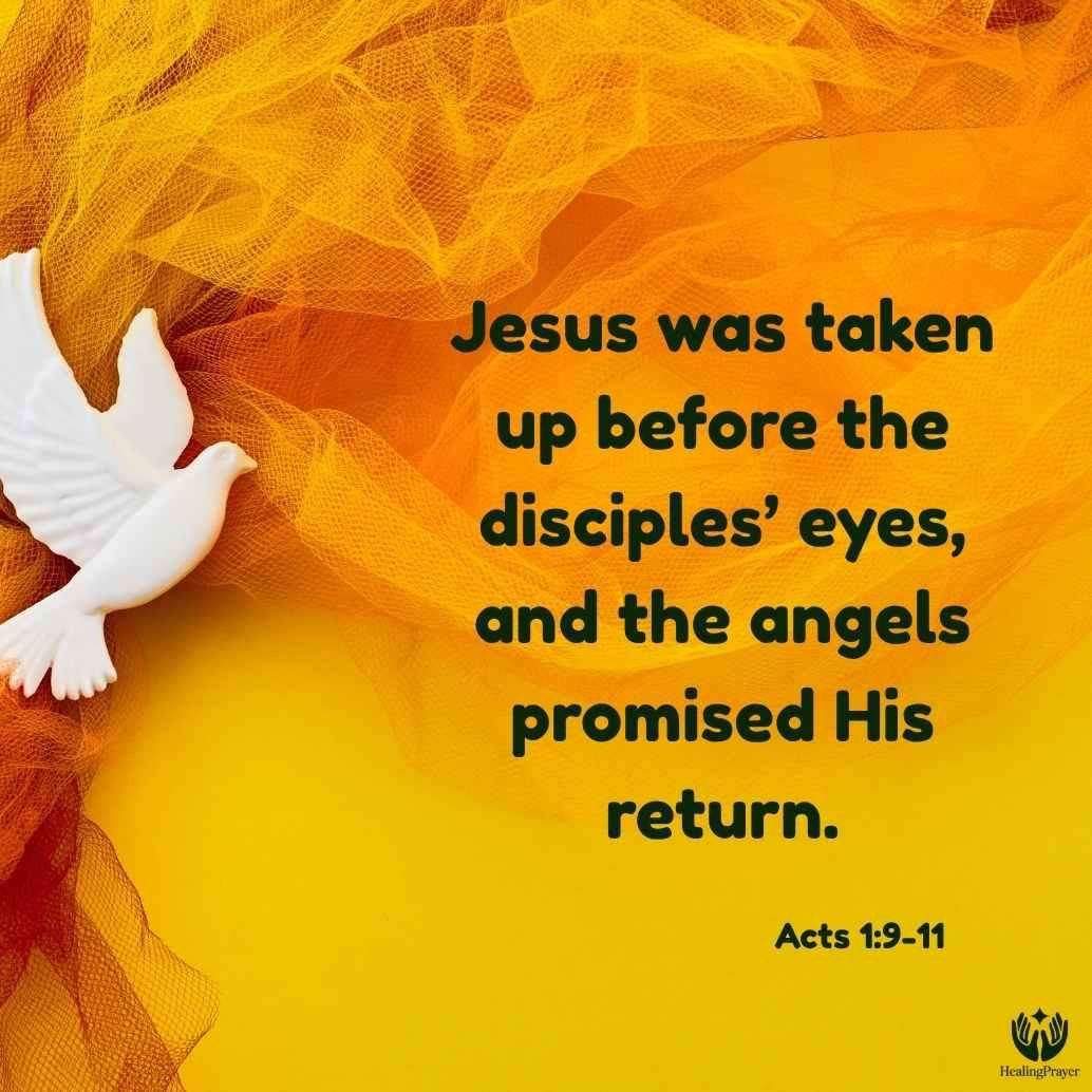 Scripture Verses for Ascension Day to Read and Share