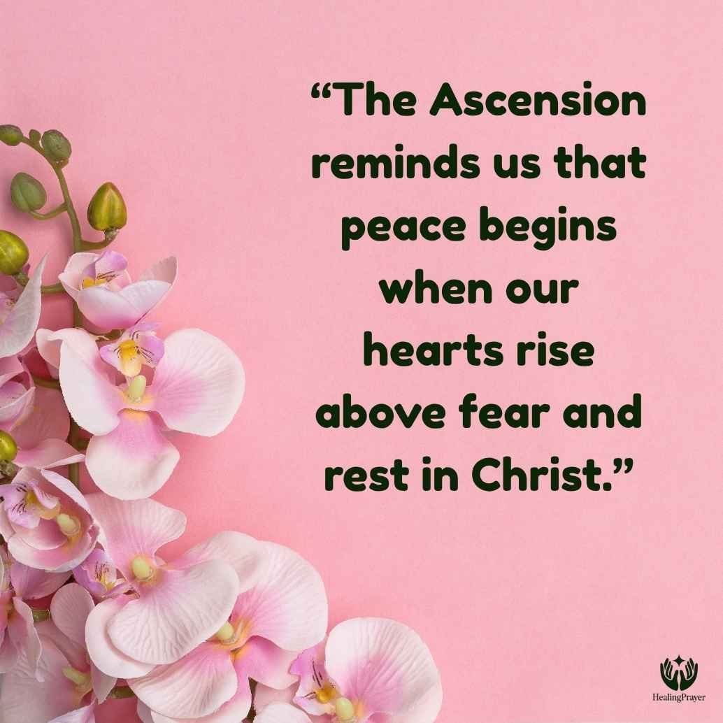 Spiritual Ascension Quotes for Peace, Purpose, and Renewal