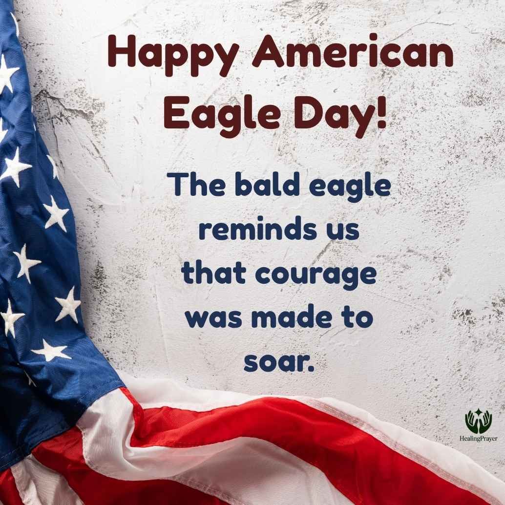 Best American Eagle Day Quotes to Share