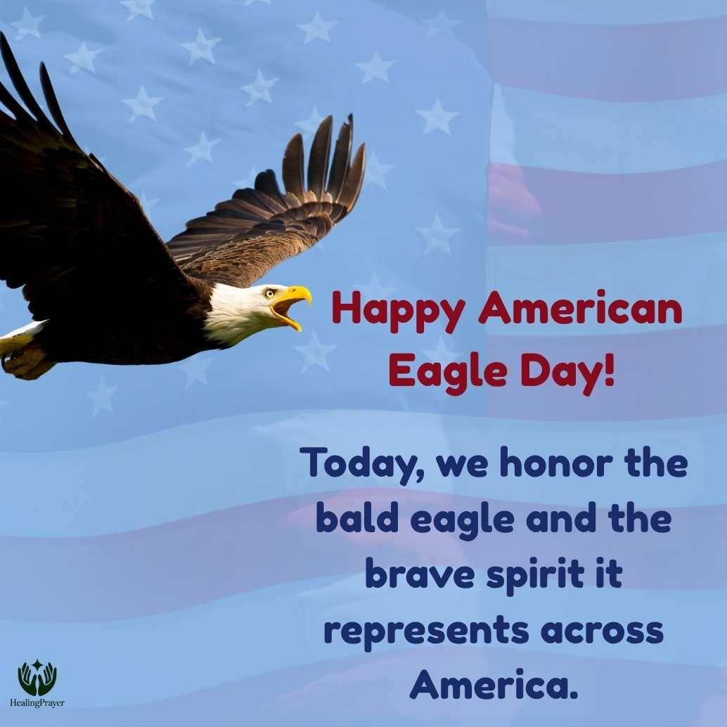 Patriotic American Eagle Day Greetings