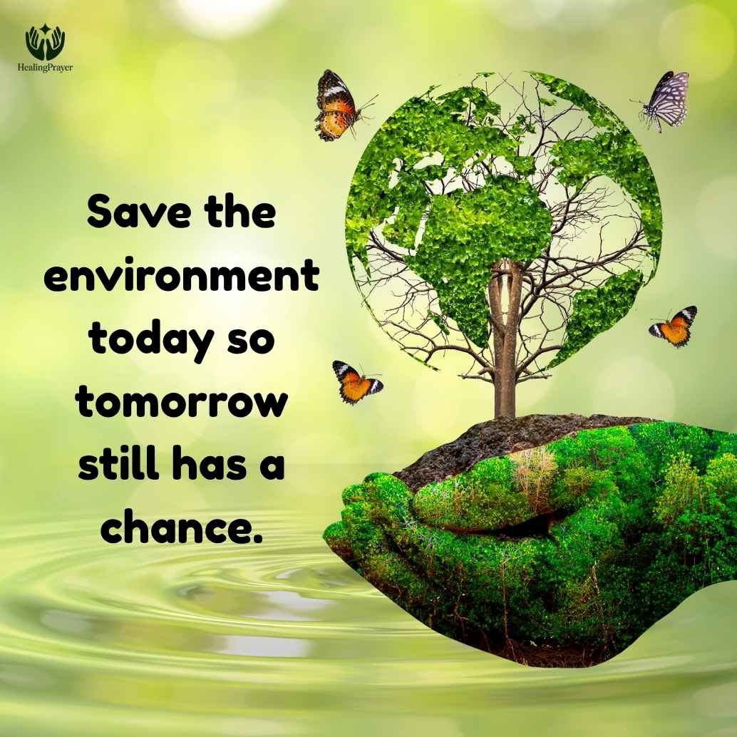 Save Environment Quotes to Protect Earth and Nature
