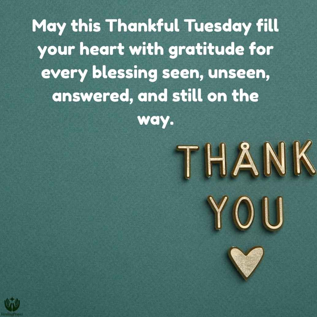 Thankful Tuesday Blessings for Gratitude and Grace
