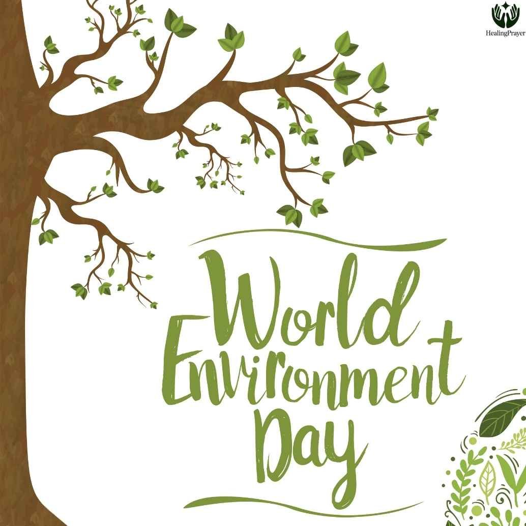 What Is World Environment Day and Why Is It Celebrated?