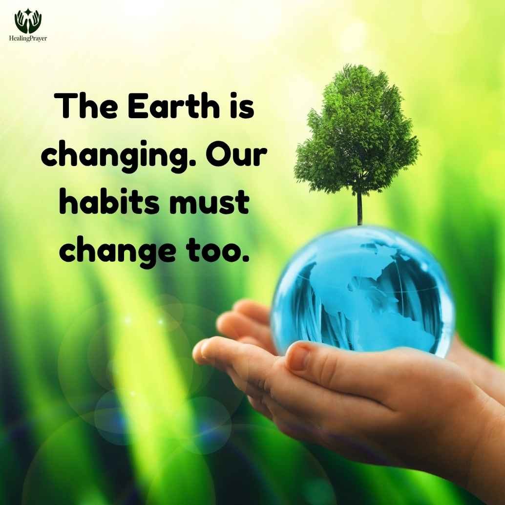 World Environment Day 2026 Video Captions and Short Script Ideas